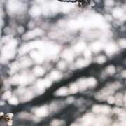 ヒメ日記 2026/03/29 08:13 投稿 ネネカ MEGA PALACE(メガパレス）