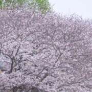 ヒメ日記 2026/03/31 15:20 投稿 ネネカ MEGA PALACE(メガパレス）