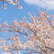 ヒメ日記 2026/03/31 22:03 投稿 ネネカ MEGA PALACE(メガパレス）