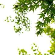 ヒメ日記 2026/04/08 08:03 投稿 ネネカ MEGA PALACE(メガパレス）