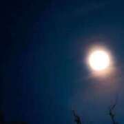 ヒメ日記 2026/04/11 14:20 投稿 ネネカ MEGA PALACE(メガパレス）