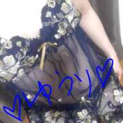 ヒメ日記 2026/03/31 13:28 投稿 井上ゆうり 麗しいマダム