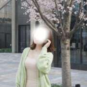 ヒメ日記 2026/04/10 15:14 投稿 怜奈-REINA- 博多最高級濃厚洗体風俗エステ シャルドネ福岡