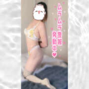 ヒメ日記 2026/03/09 17:17 投稿 かなで 若妻淫乱倶楽部