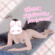 ヒメ日記 2026/04/15 14:05 投稿 かなで 若妻淫乱倶楽部