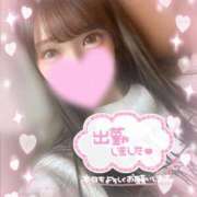 ヒメ日記 2026/01/04 13:45 投稿 かれん 京都 泡洗体ハイブリッドエステ PUPPY LOVE 京都駅前本店