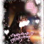 かれん 最高のひとときでした💗🐾 京都 泡洗体ハイブリッドエステ PUPPY LOVE 京都駅前本店