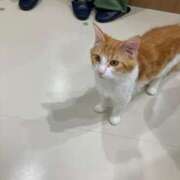 ヒメ日記 2026/03/24 19:09 投稿 たいよう★UL対応 Blue Moon