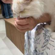 ヒメ日記 2026/04/09 11:59 投稿 たいよう★UL対応 Blue Moon