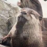 ヒメ日記 2026/04/16 13:19 投稿 たいよう★UL対応 Blue Moon