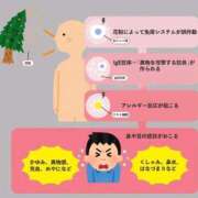 ヒメ日記 2026/03/07 17:13 投稿 えり☆一目で格が違う Hills Premier