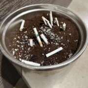 ヒメ日記 2026/03/07 18:54 投稿 えり☆一目で格が違う Hills Premier