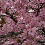 ヒメ日記 2026/03/23 21:25 投稿 伊波　なぎさ エテルナ京都