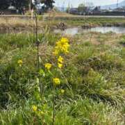 伊波　なぎさ なぎさに…🫶 エテルナ京都