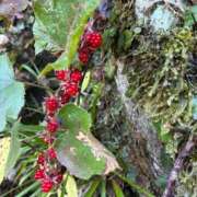 あい 教えてください🌼 コンプレックス(京都)