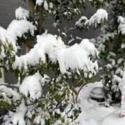 ヒメ日記 2026/02/08 10:56 投稿 ちよ 吉原ファーストレディ