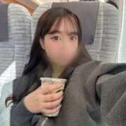 ヒメ日記 2026/01/29 12:11 投稿 のえる IRIS一宮