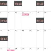 ヒメ日記 2026/01/31 23:21 投稿 Haru Otokawa PRECIOUS