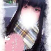 ヒメ日記 2026/02/09 07:05 投稿 ひな ナチュラルプリンセス