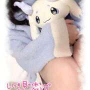 ヒメ日記 2026/03/09 11:05 投稿 ひな ナチュラルプリンセス