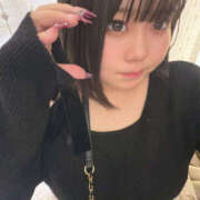 ヒメ日記 2026/01/03 16:52 投稿 ふたば 川越ぽちゃまに