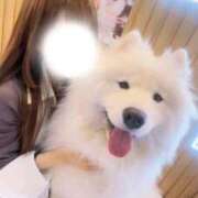 ヒメ日記 2026/01/13 09:08 投稿 まゆ 俺のKissリフレ