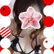 ヒメ日記 2026/01/07 00:11 投稿 みやび 熟女総本店 堺東店