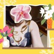 ヒメ日記 2026/03/23 22:46 投稿 みやび 熟女総本店 堺東店