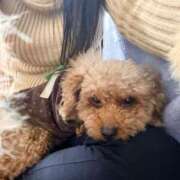 ヒメ日記 2026/03/14 17:45 投稿 一条琴乃 白夜