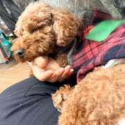 ヒメ日記 2026/03/27 14:15 投稿 一条琴乃 白夜