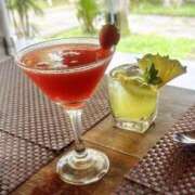 ヒメ日記 2026/04/06 14:30 投稿 一条琴乃 白夜