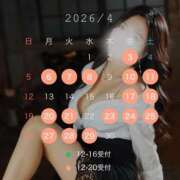 ヒメ日記 2026/04/08 14:15 投稿 一条琴乃 白夜