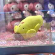 ヒメ日記 2026/04/09 22:38 投稿 一条琴乃 白夜