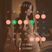 一条琴乃 5月の予定✨ 白夜