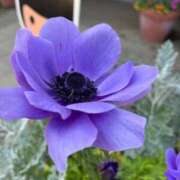 ヒメ日記 2026/04/13 23:15 投稿 しの ZERO