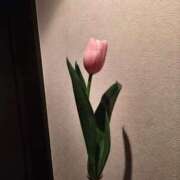 ヒメ日記 2026/01/16 19:16 投稿 せんり マネキン 名駅店