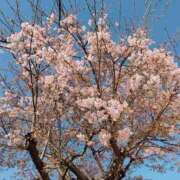 ヒメ日記 2026/03/02 09:08 投稿 せんり マネキン 名駅店