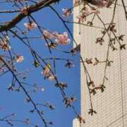 ヒメ日記 2026/03/02 21:06 投稿 せんり マネキン 名駅店