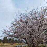 ヒメ日記 2026/03/28 23:06 投稿 せんり マネキン 名駅店