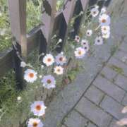 ヒメ日記 2026/04/04 21:16 投稿 せんり マネキン 名駅店