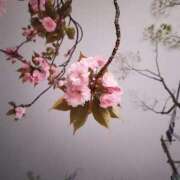 ヒメ日記 2026/04/14 21:06 投稿 せんり マネキン 名駅店