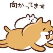 ヒメ日記 2026/04/19 09:06 投稿 せんり マネキン 名駅店