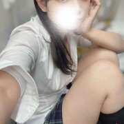 ヒメ日記 2026/02/12 16:46 投稿 つばき 神田はっち