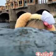 ヒメ日記 2026/02/18 20:05 投稿 つばき 神田はっち