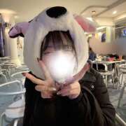 ヒメ日記 2026/03/18 19:51 投稿 つばき 神田はっち