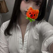 ヒメ日記 2026/03/20 16:22 投稿 つばき 神田はっち