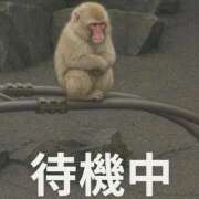 ヒメ日記 2026/09/12 19:28 投稿 かんな ごほうびSPA五反田店