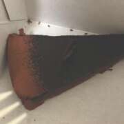 ヒメ日記 2026/01/03 22:47 投稿 田宮たまき【割引対象外】 elumo(エルモ)