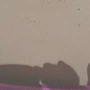 ヒメ日記 2026/01/31 08:39 投稿 田宮たまき【割引対象外】 elumo(エルモ)