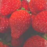 ヒメ日記 2026/02/08 21:48 投稿 田宮たまき【割引対象外】 elumo(エルモ)